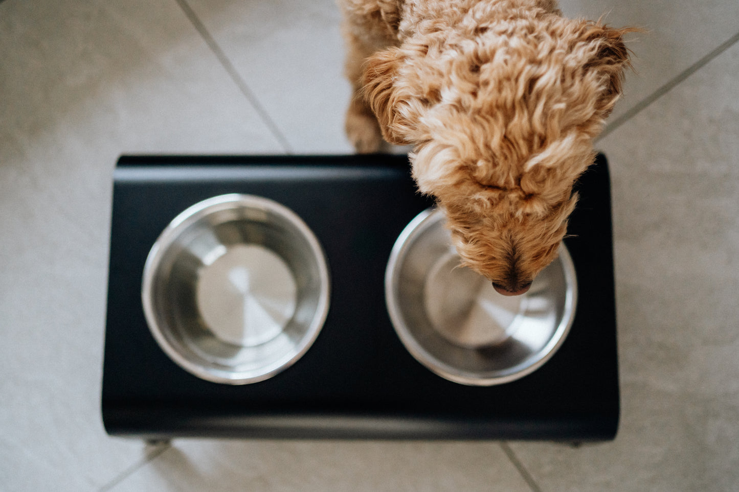 Rico Napfständer mit Edelstahlnäpfen für Hunde- Schwarz