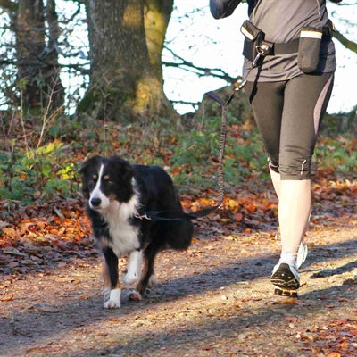 Trixie-Taillengürtel Mit Jogging-Linie Schwarz