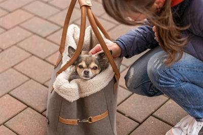 Trixie Dog Bag Rachel Grau / Hellbraun