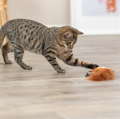 Trixie Eichhörnchen Plüsch Mit Federschwanz Mit Katzenminze