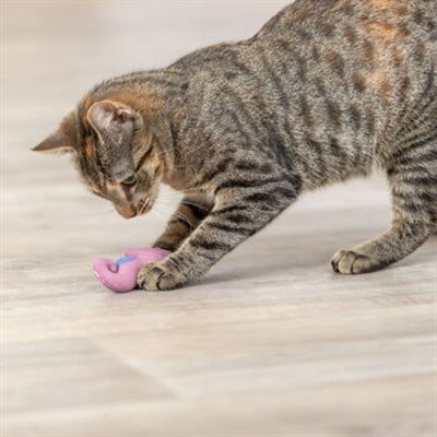 Trixie Seepferdchen Plüsch Mit Katzenminze Sortiert